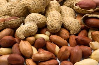 Large study links nut consumption to reduced death rate