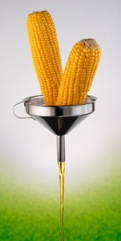 high fructose corn syrup, corn, corn syrup, fructose, diabetes, heart disease, HFCS, insulin, leptin, insulin resistance