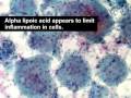 Alpha Lipoic Acid-- One Powerful Antioxidant!