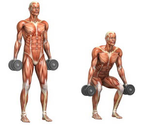exercise, weight lifting, strenght training, muscle, atrophy, muscle atrophy